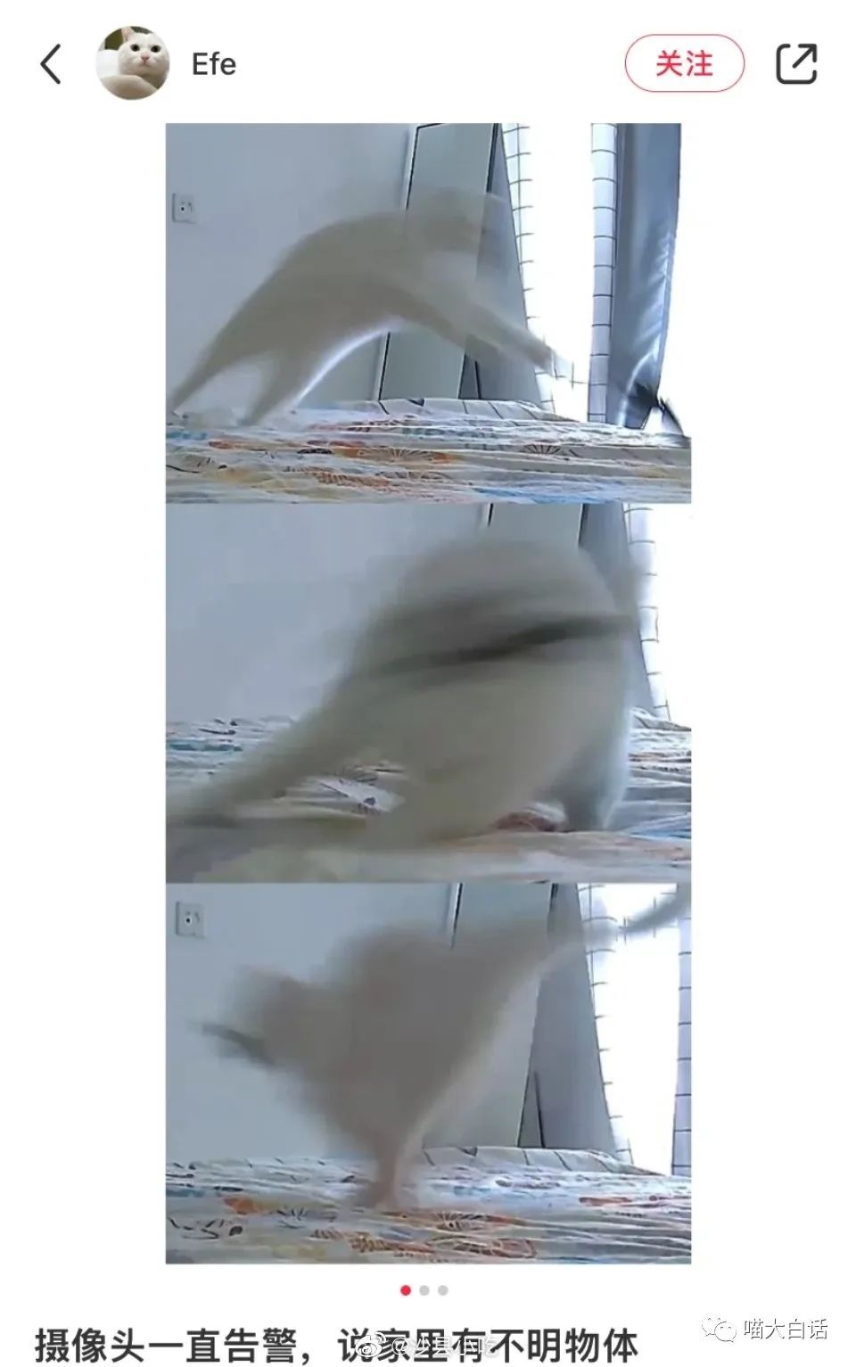 背德文学啥意思,背德文学是什么