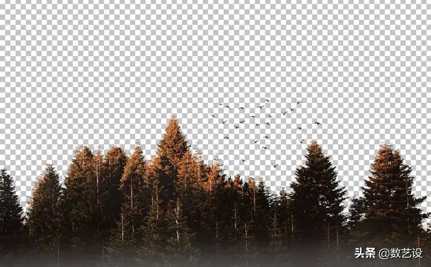 通道抠图如何选择对比强烈的,通道抠图知识点