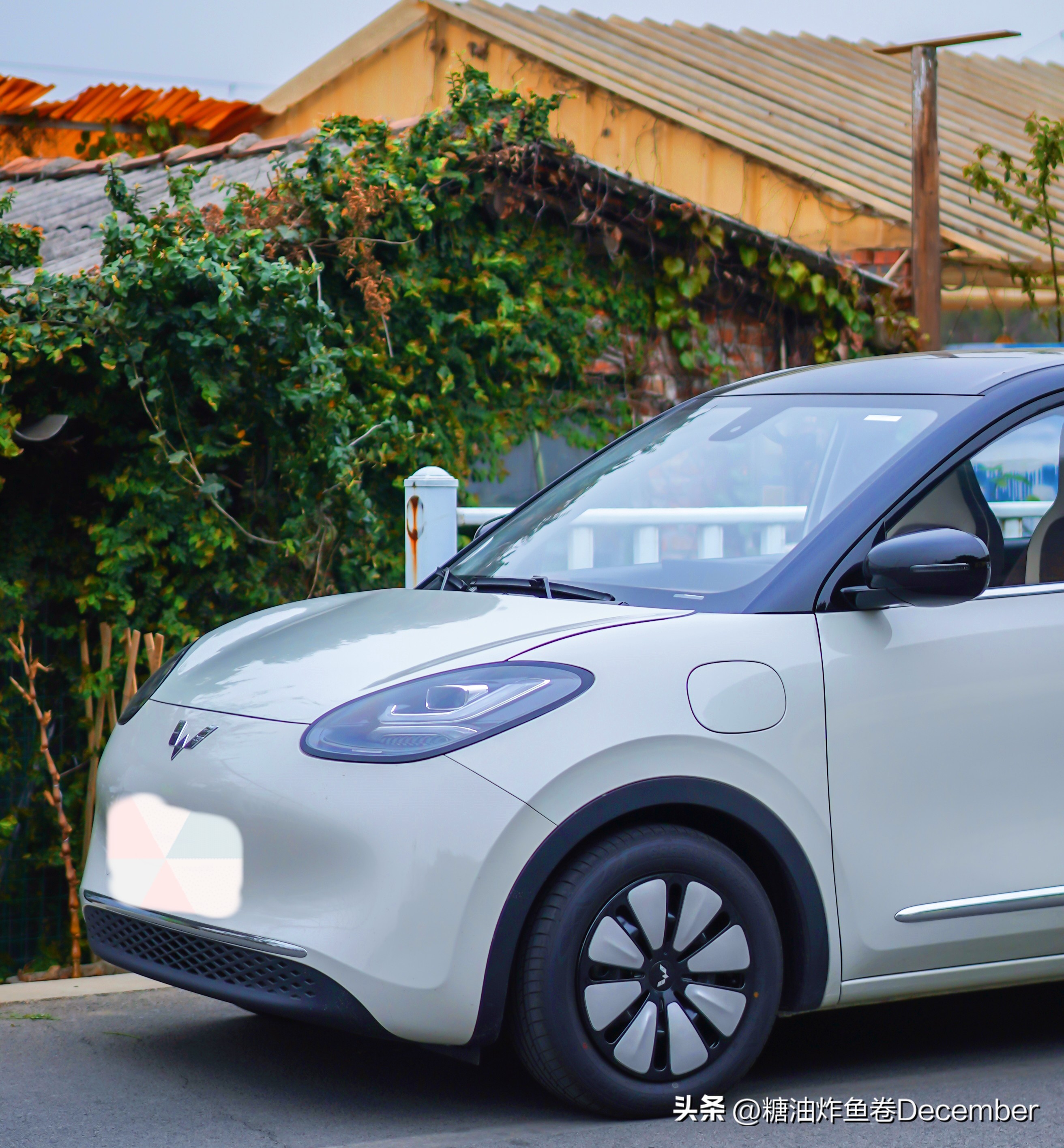 秘境之旅攻略,秘境之旅完整版视频