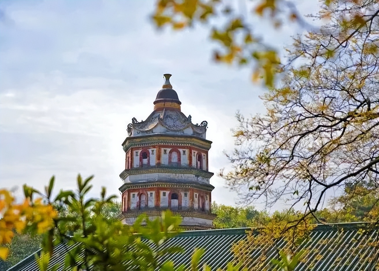 letsgo一周目攻略,letsgo图鉴攻略