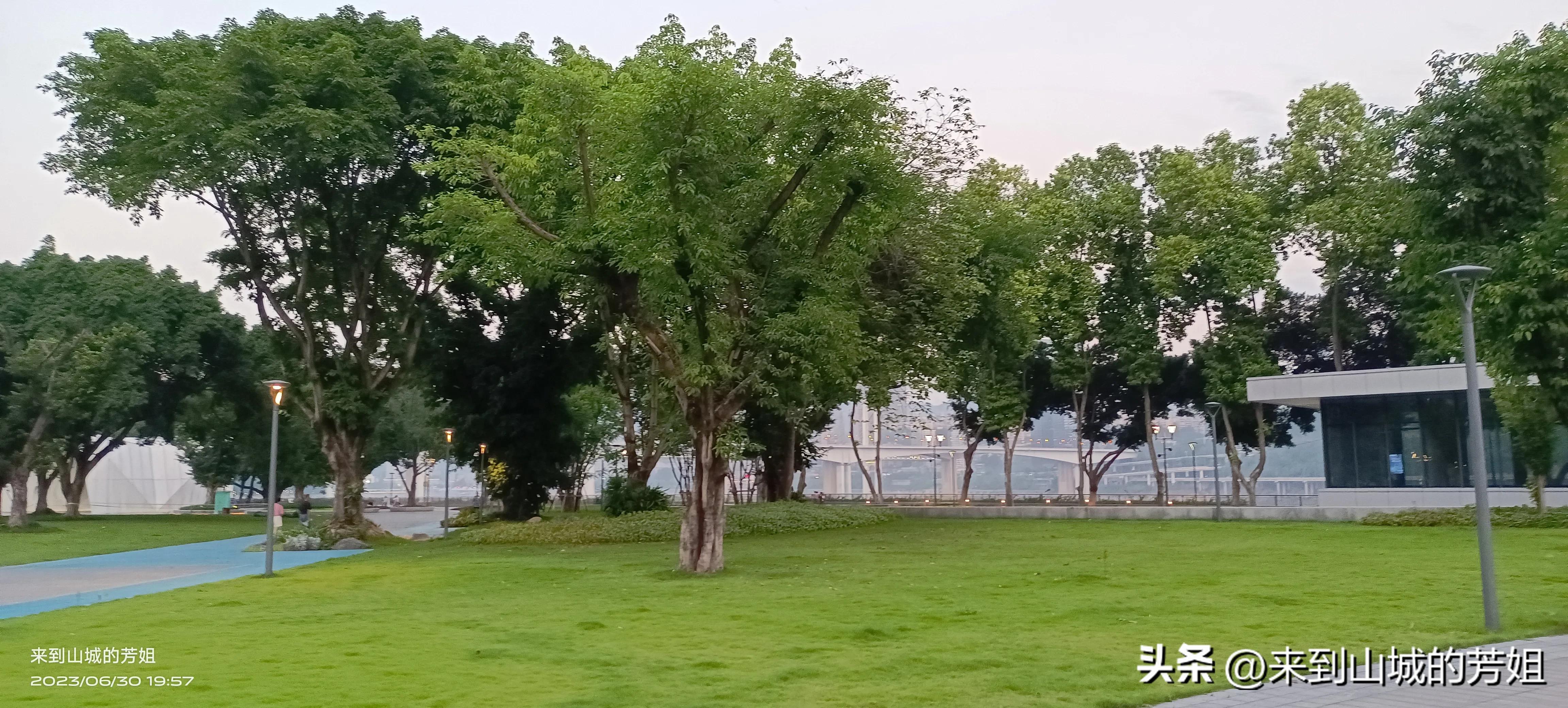 女生十大最好专业排名,男生大学报英语师范专业好吗