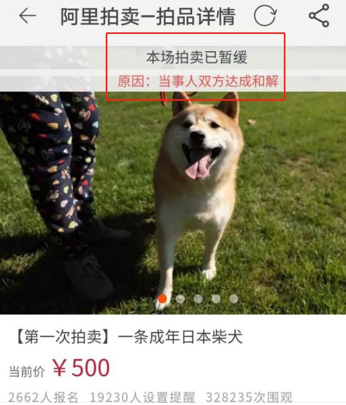 闲鱼捡漏怎样不被坑,新手玩闲鱼千万别把闲鱼想得太难