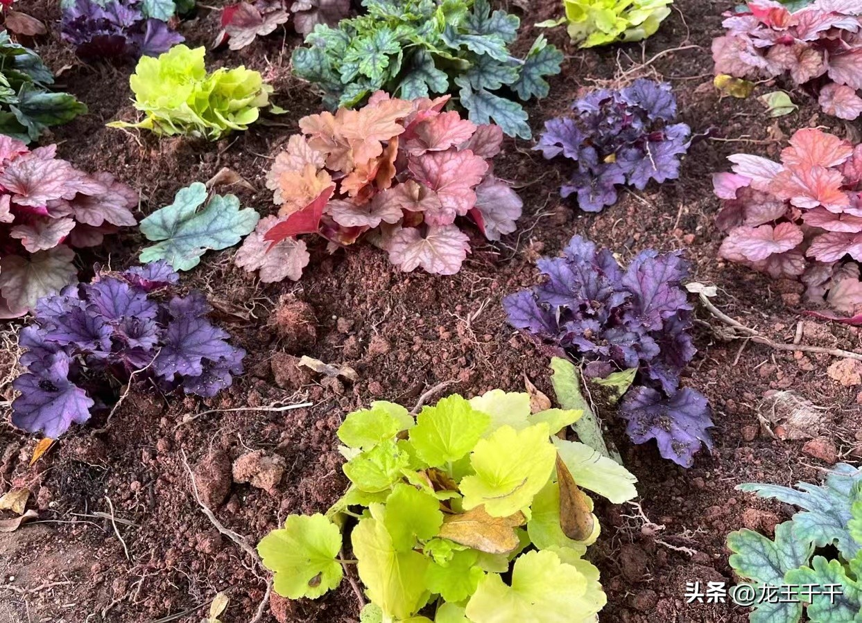 文旅复苏发展前景图,文旅产业对经济的发展