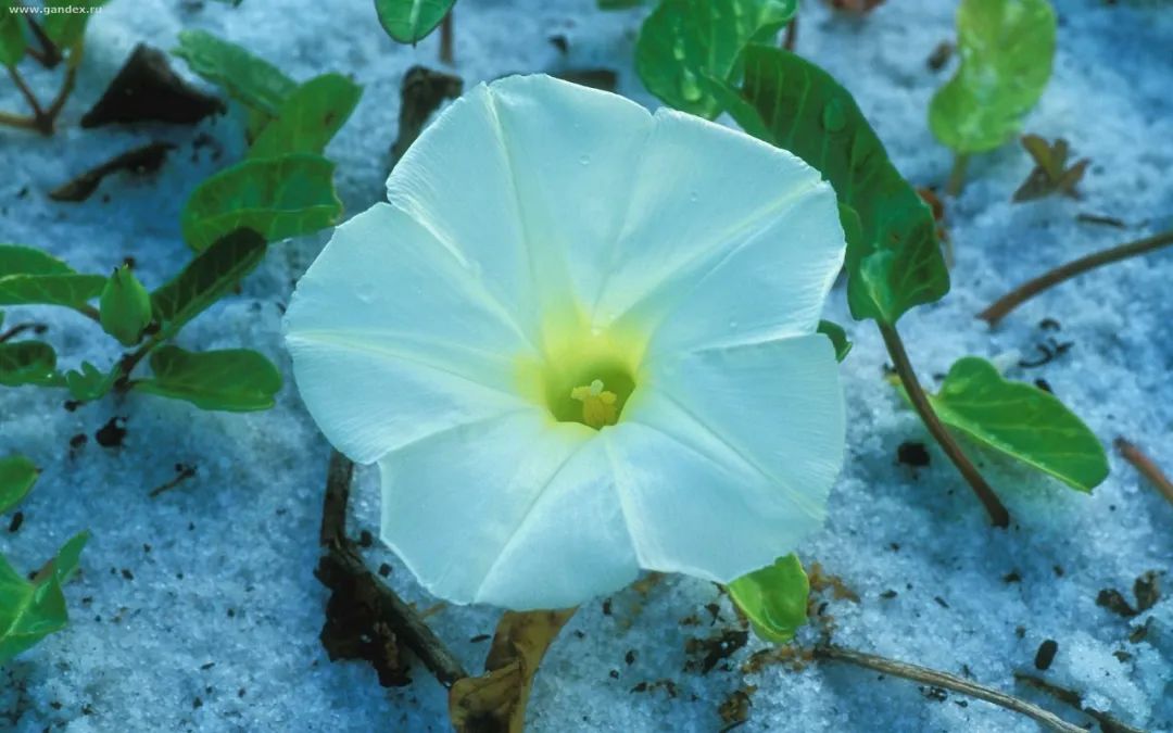 我的自画像作文男生四年级400字,我的自画像作文100字范文