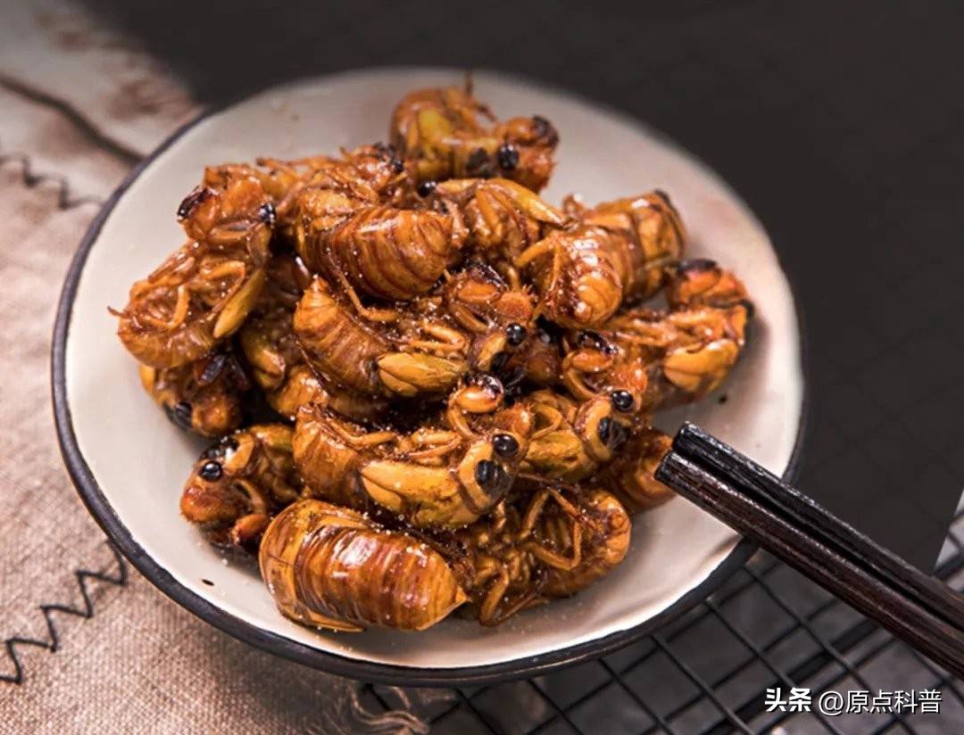 有哪些特色美食只有当地人才知道,全国各地的奇葩美食