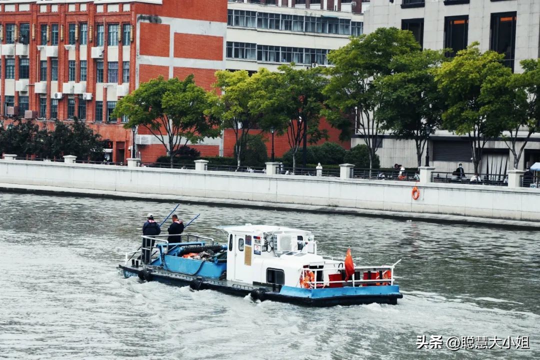 上海人少小众的游玩路线,上海小资体验攻略