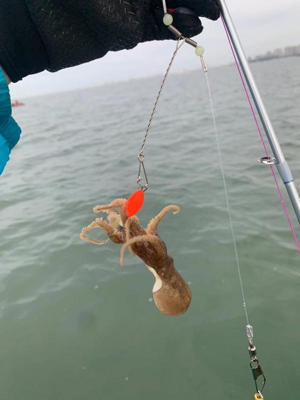 渤海海钓推荐,海钓体验游玩攻略