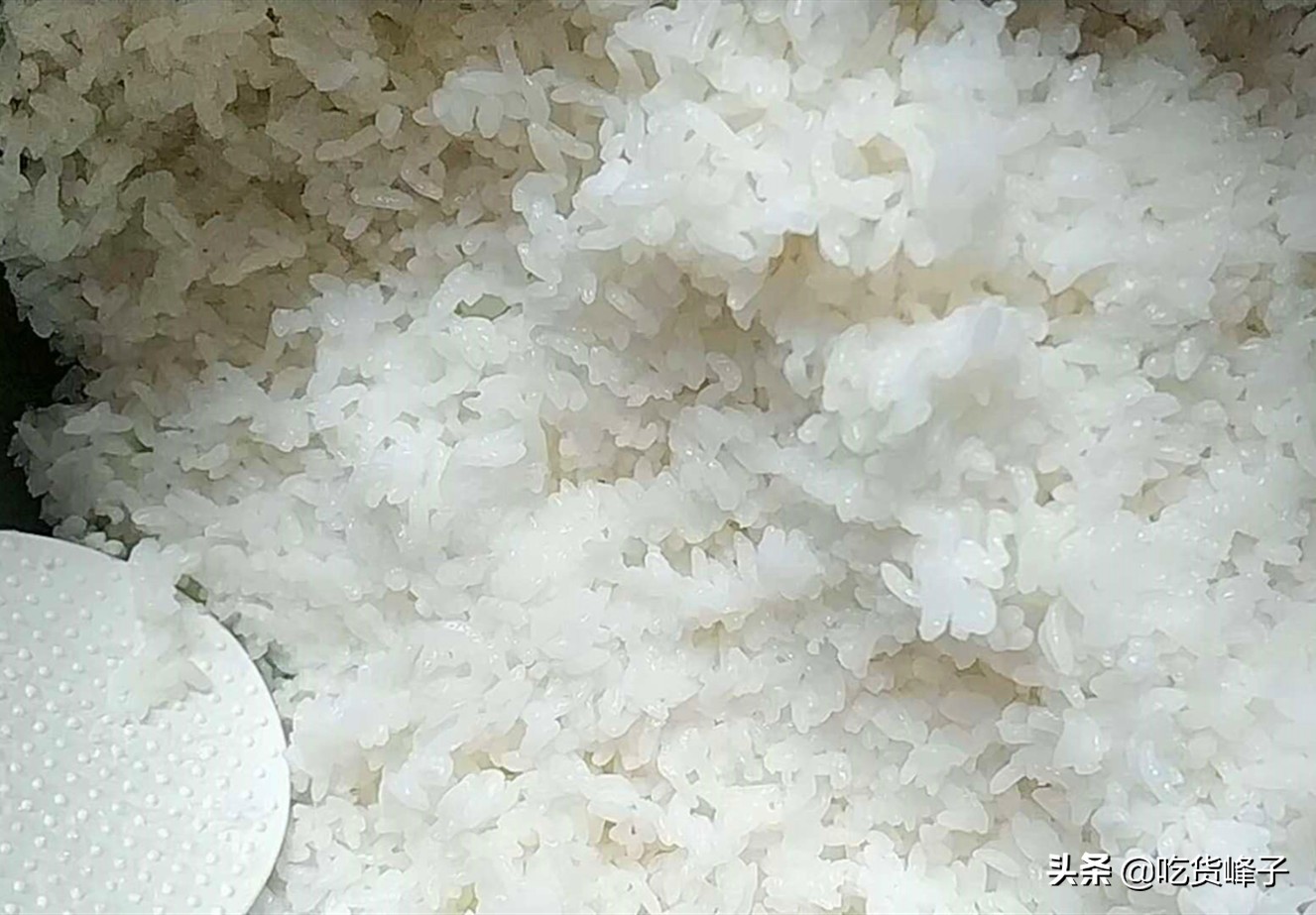 大米生虫了怎么办还能吃吗,大米为啥会出虫子