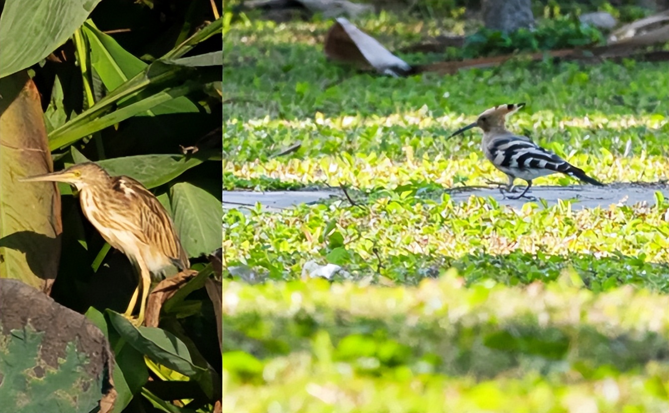 麻涌国庆游玩好去处,麻涌周末去哪玩