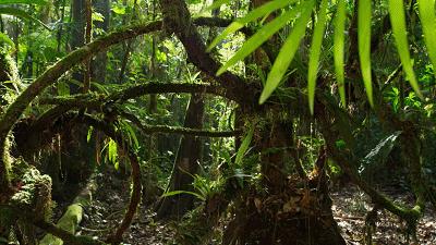 原来它们也有“性丑闻”，这片看完让我大开眼界