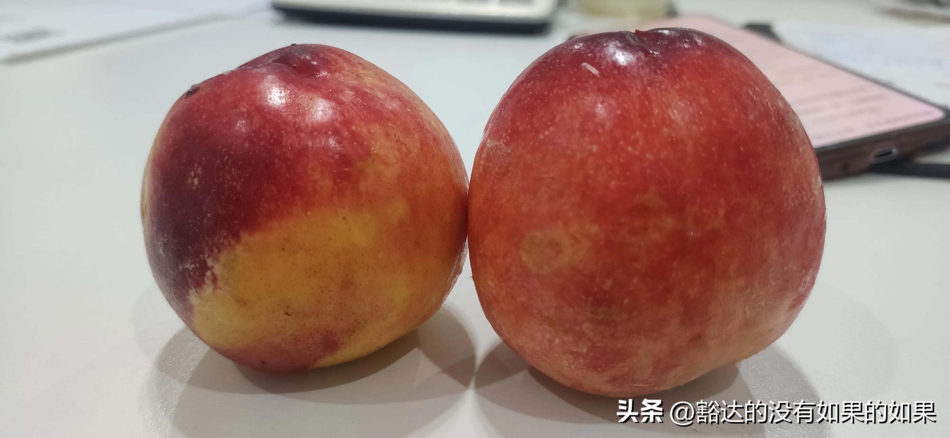 6月底至7月初成熟的桃有哪些品种,目前最好吃又大的桃是什么品种