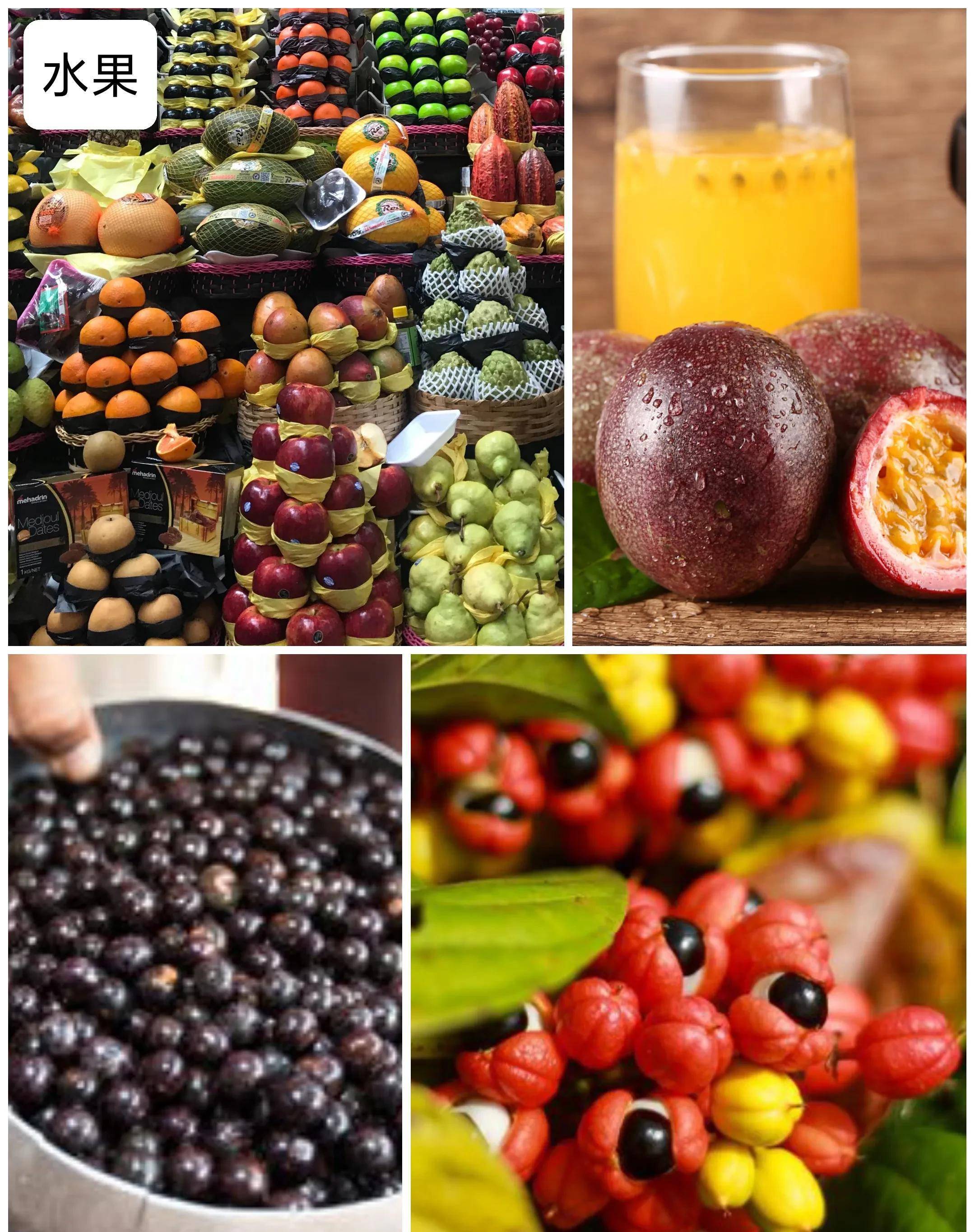 巴西世界杯夺冠队员阵容,巴西世界杯夺冠几率2026