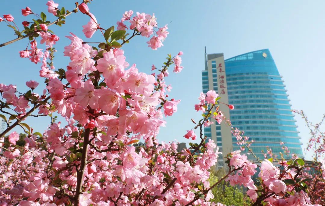 无锡君来湖滨饭店五星级酒店,无锡君来湖滨酒店西餐厅