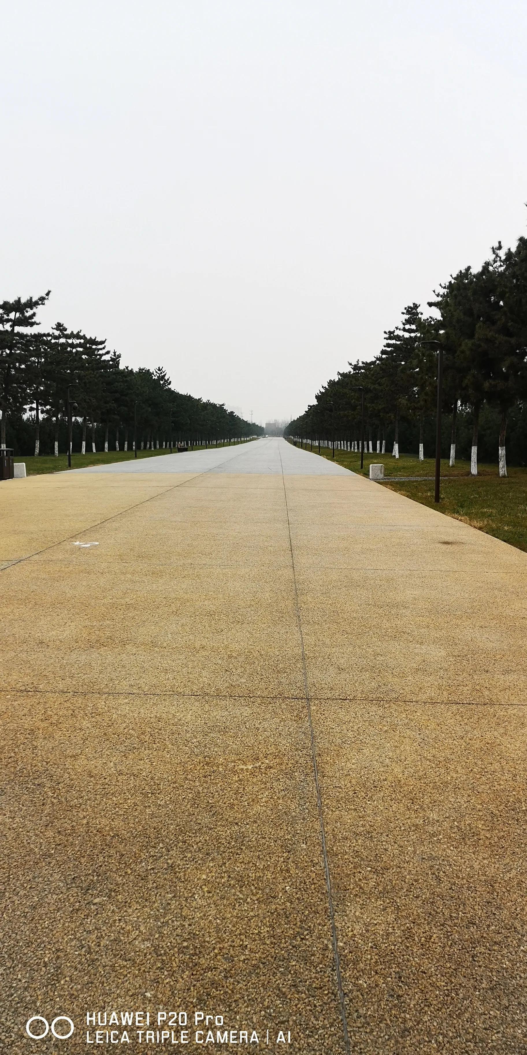 西安未央宫国家遗址公园门票,西安未央区哪里好玩不收门票