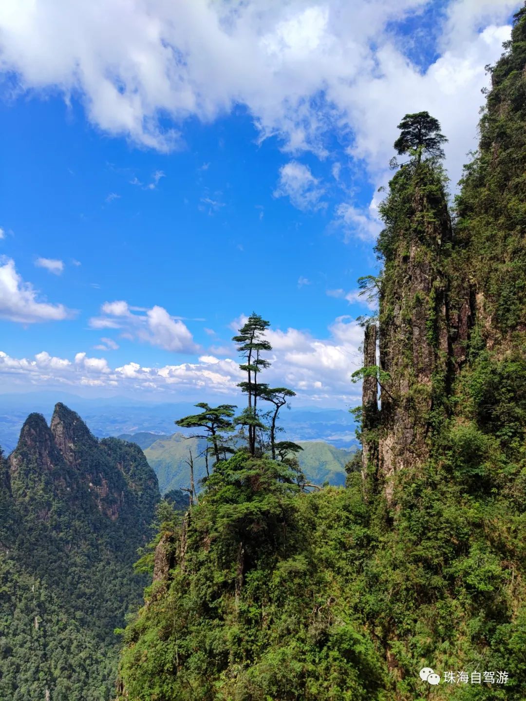 莽山五指峰景区,蟒山国家森林公园旅游攻略