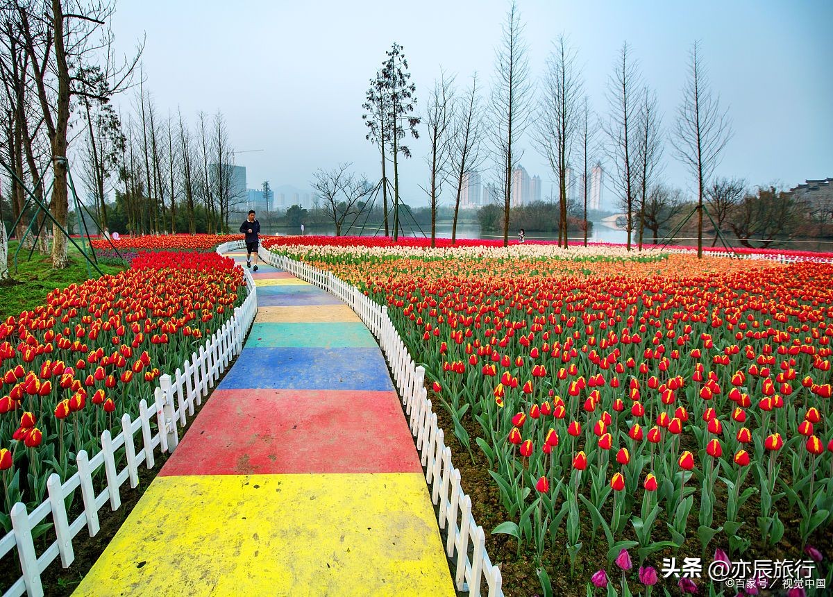 武汉周边避暑烧烤钓鱼,武汉周边避暑旅游景点推荐
