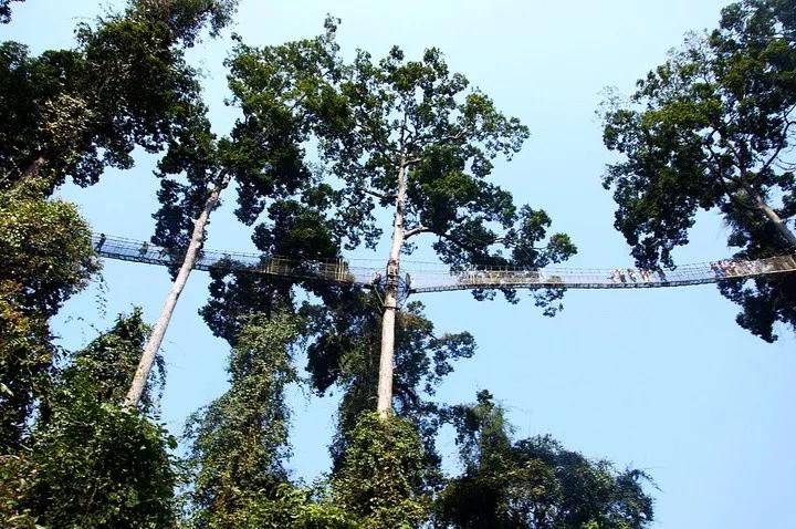 云南西双版纳旅游攻略app,云南西双版纳旅游攻略自由行12月