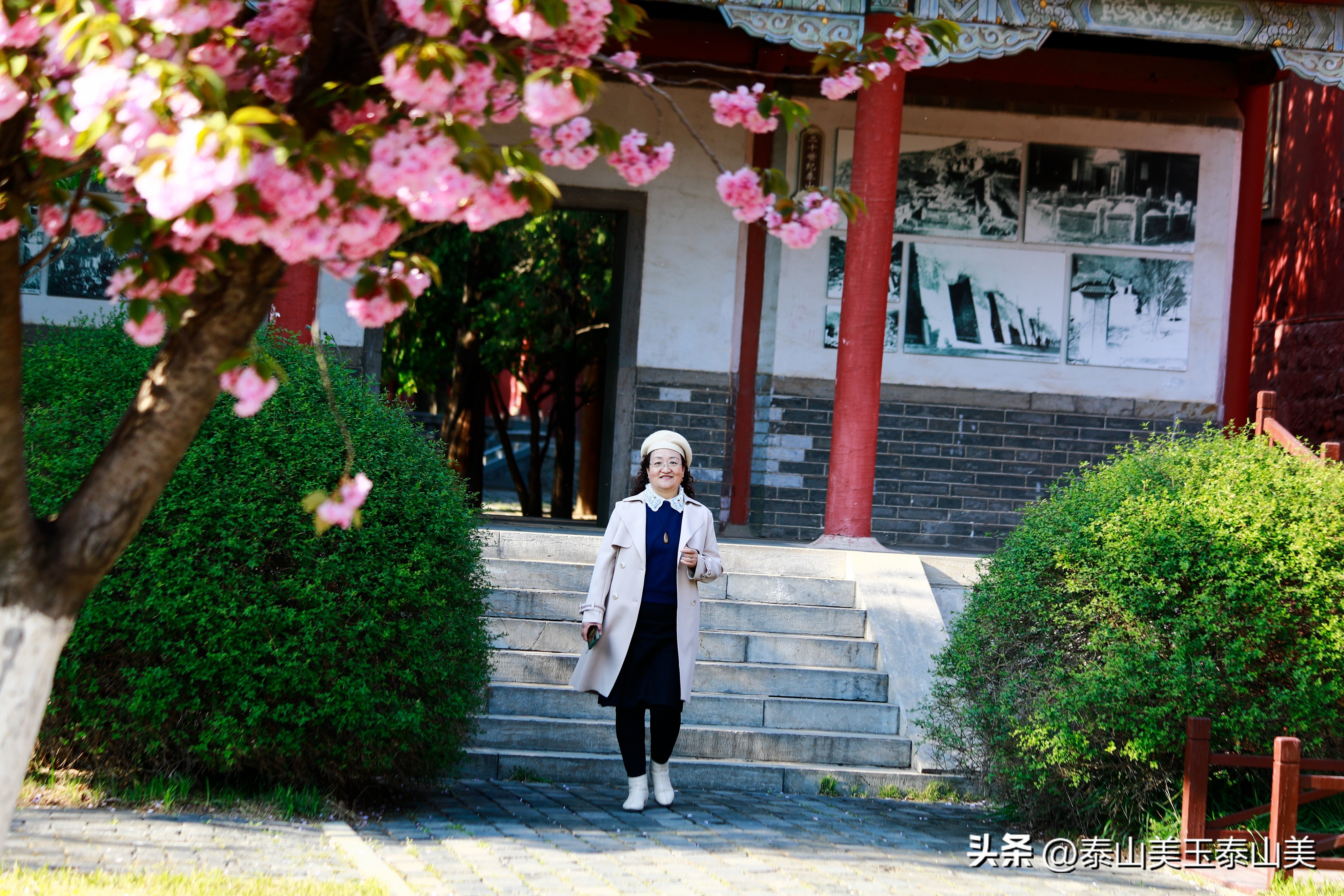 山亭寺沟樱花,定山溪樱花