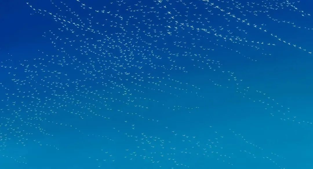 大学生做兼职怎么防止上当受骗,兼职过程中怎样预防上当受骗