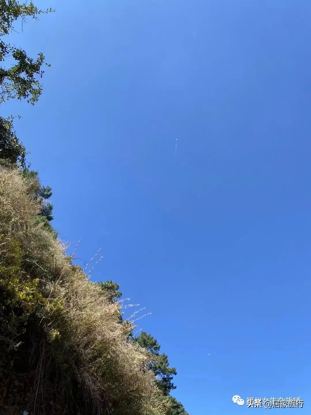 11/17,初冬的星期四