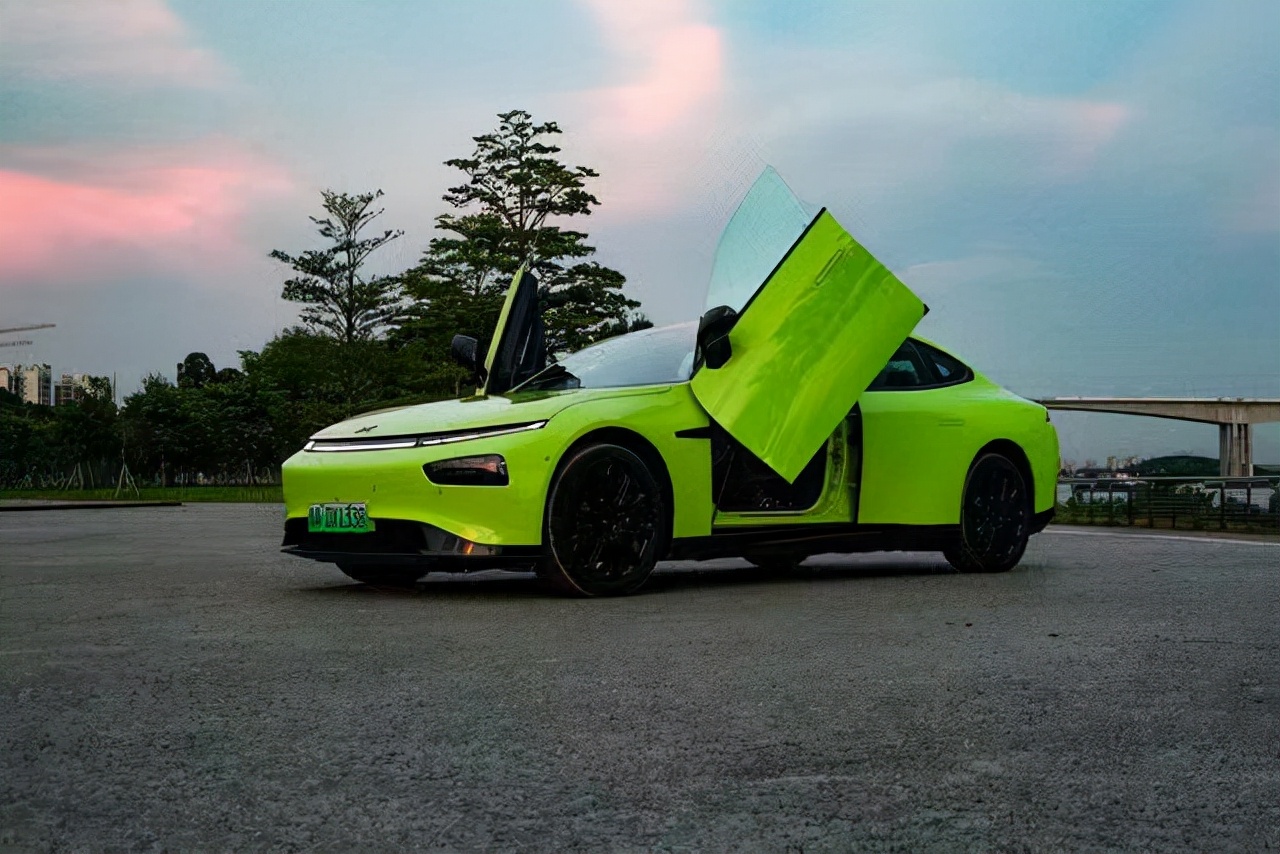 鸥翼门都有哪些,想成为焦点却又害怕成为焦点