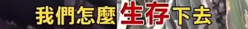 台湾水果商怒斥台当局,台湾凤梨果农斥蔡当局不要乱讲