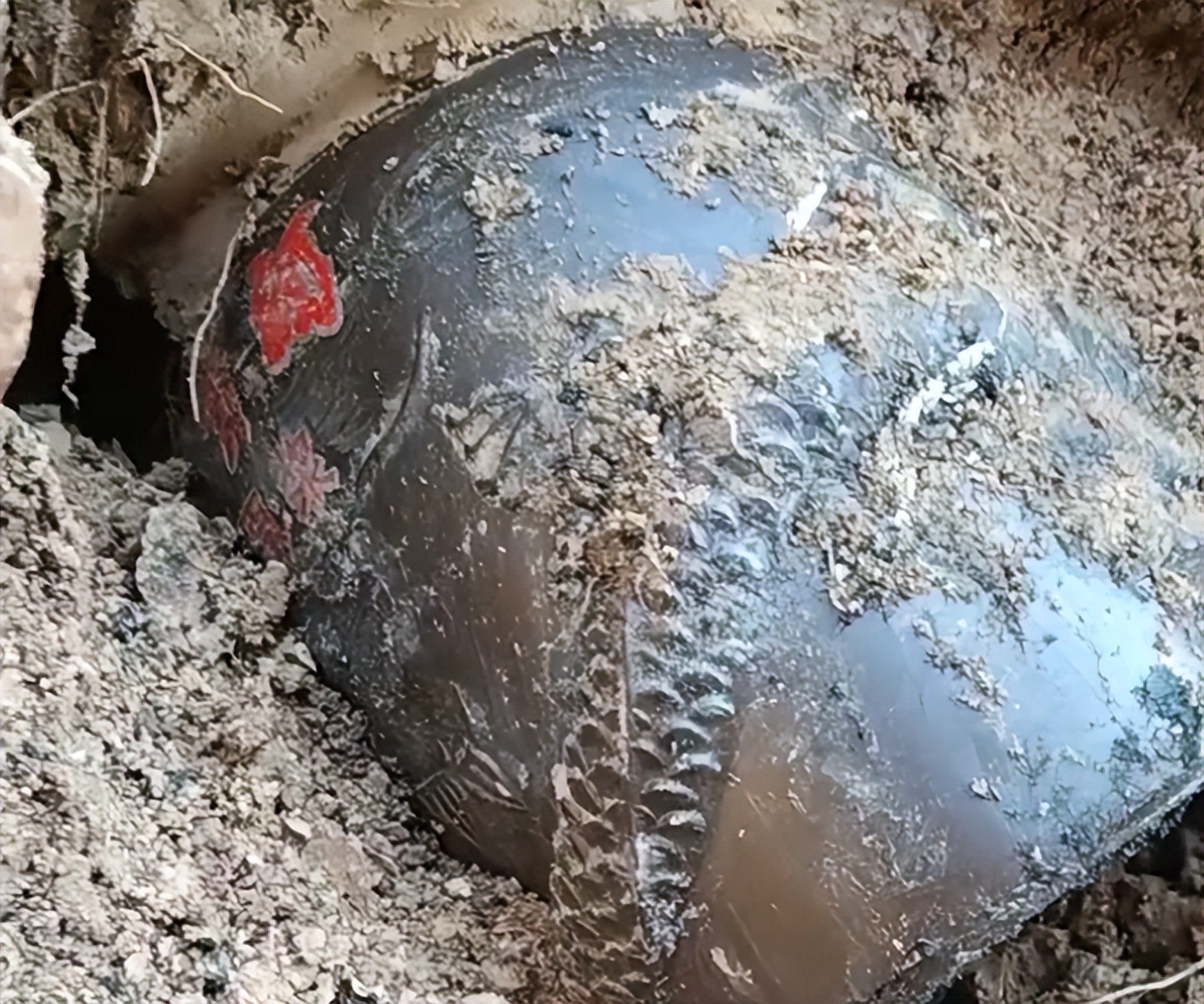 爷爷埋了黄金挖出来,爷爷40年前埋的东西