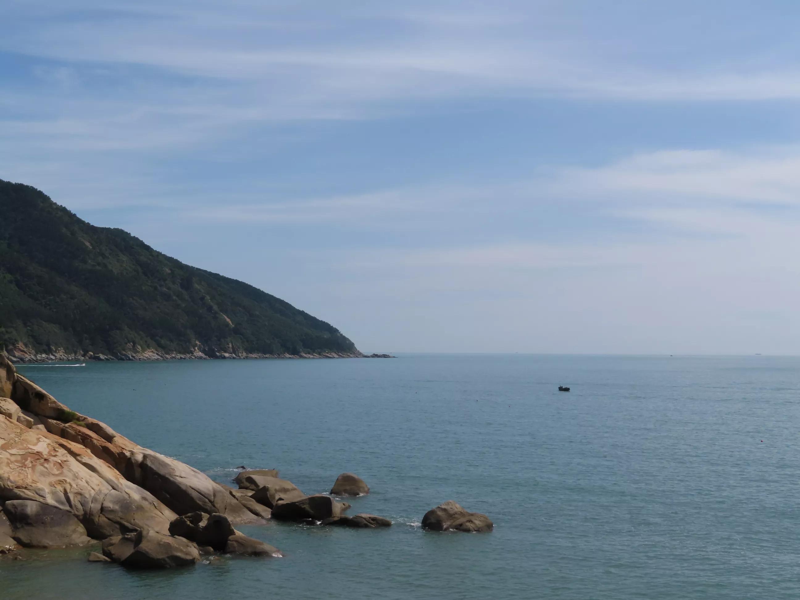 青岛的海,青岛的海鸥