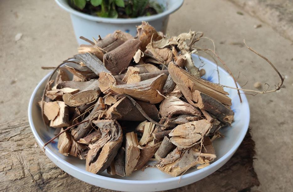 有一种树全株具乳汁,根部有奶香,是煲汤佳品,味美价值高,是啥