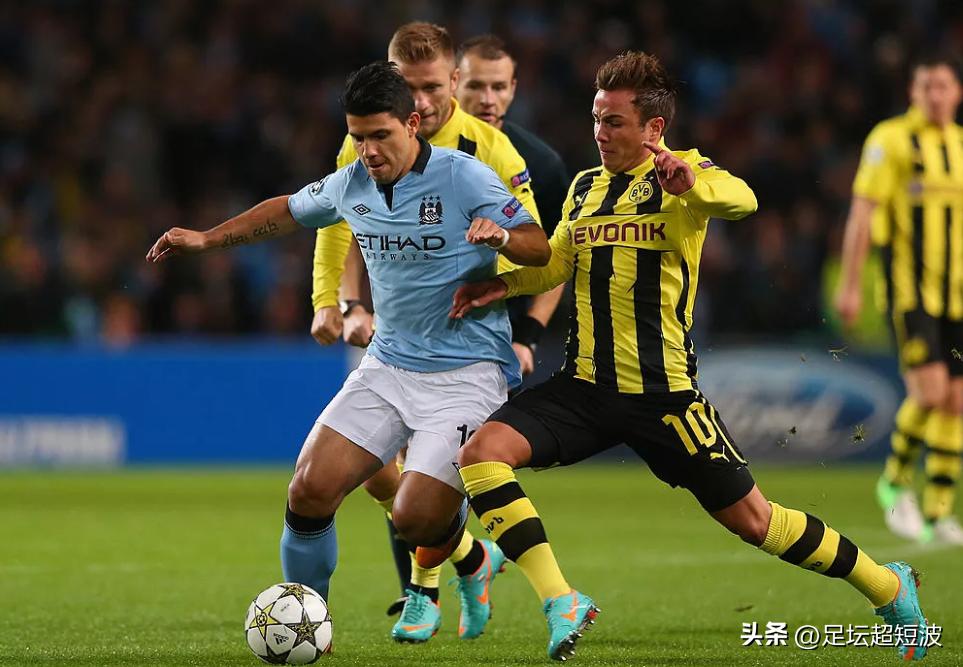 喜鹊死亡的视频,喜鹊之死完整视频