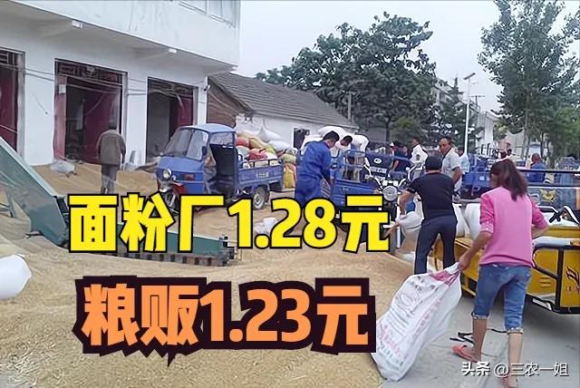 种小麦一亩地能赚多少钱,一亩小麦赚1块钱