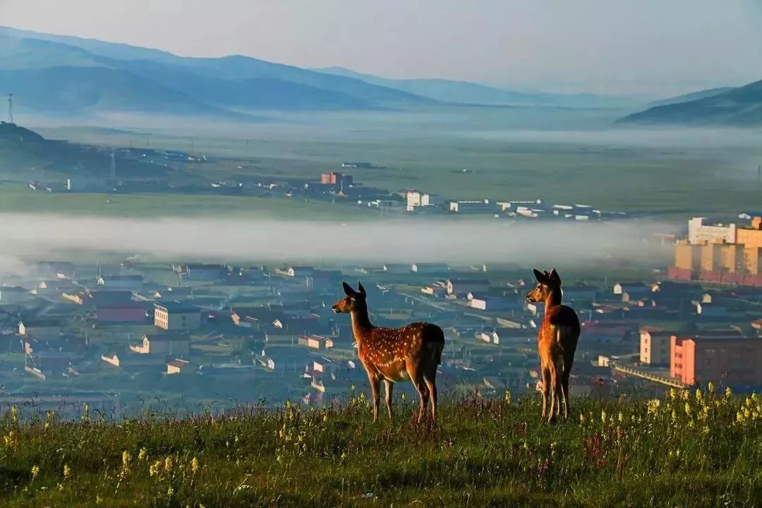川西阿坝旅游详细攻略地图,川西阿坝旅游攻略三天