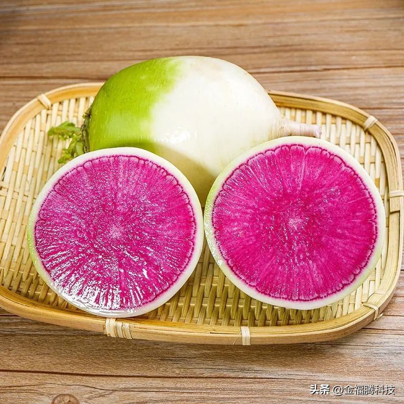 金玉园萝卜熟了~15日采摘期，清甜无辣，原汁原味，自然生长