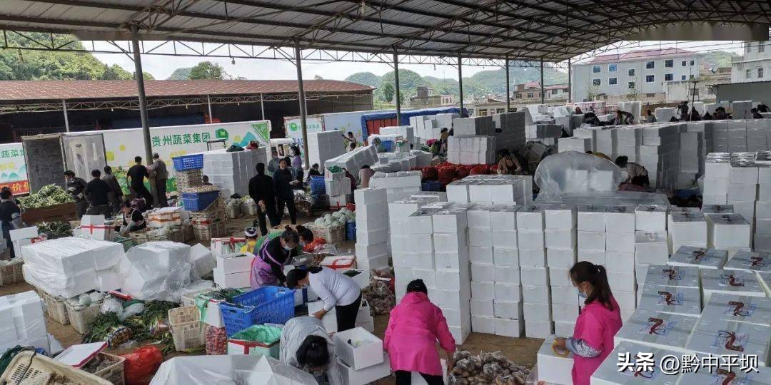 安顺二官水果市场,安顺平坝区二官蔬菜发展
