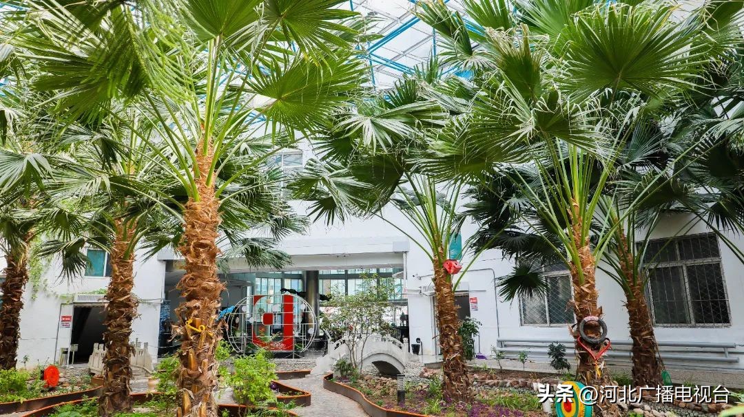 行走旅发｜走进邢台德龙钢铁，感受藏在钢厂里的“诗和远方”