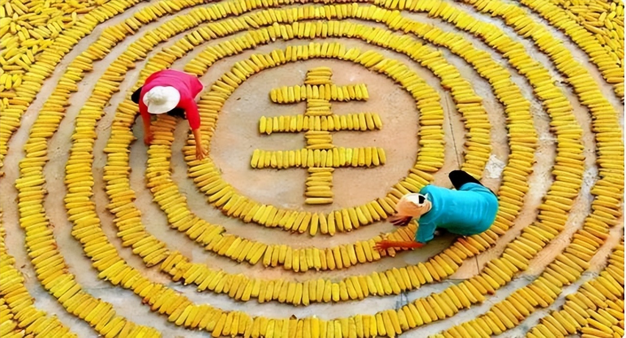 中国为何不怕粮食危机，世界第一粮食储备国，让欧盟眼红