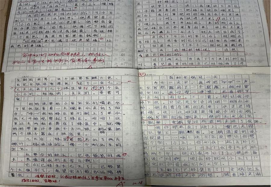 以查促改巩固提升主题教育成效,以评促学全面提升