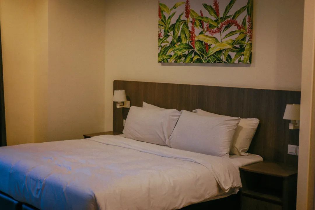 新加坡到马来西亚乐高大巴,从新加坡怎么去马来西亚乐高乐园