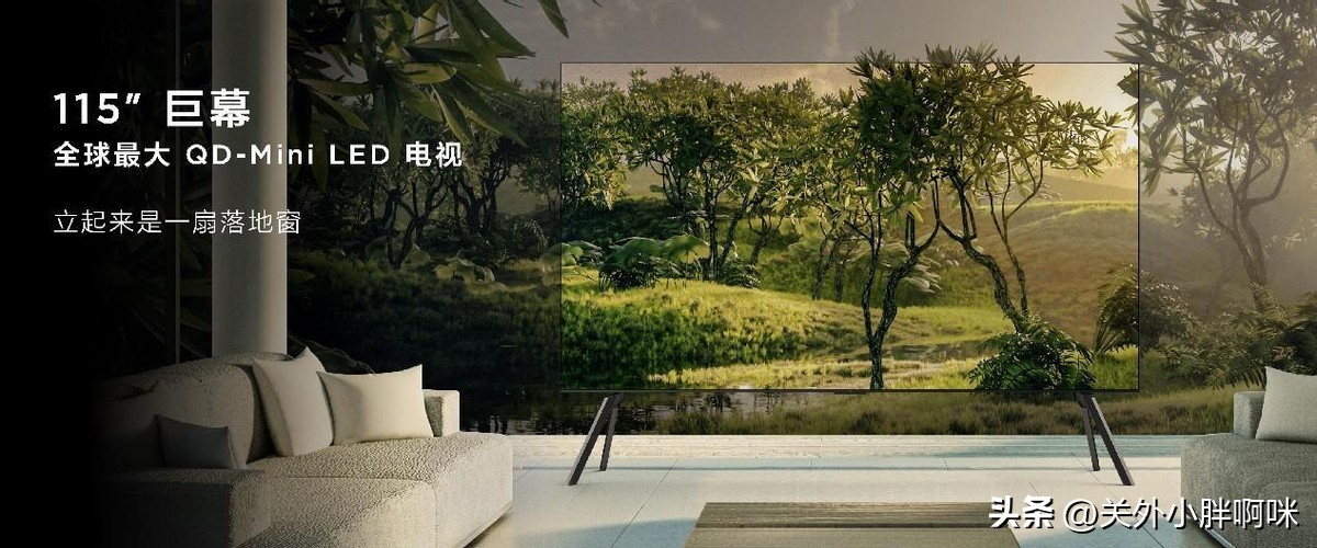 98-100寸高端电视推荐,65寸电视画质性价比之王