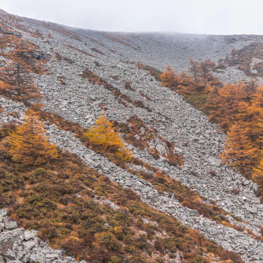 太白山是陕西最高点吗,秦岭最高峰太白山