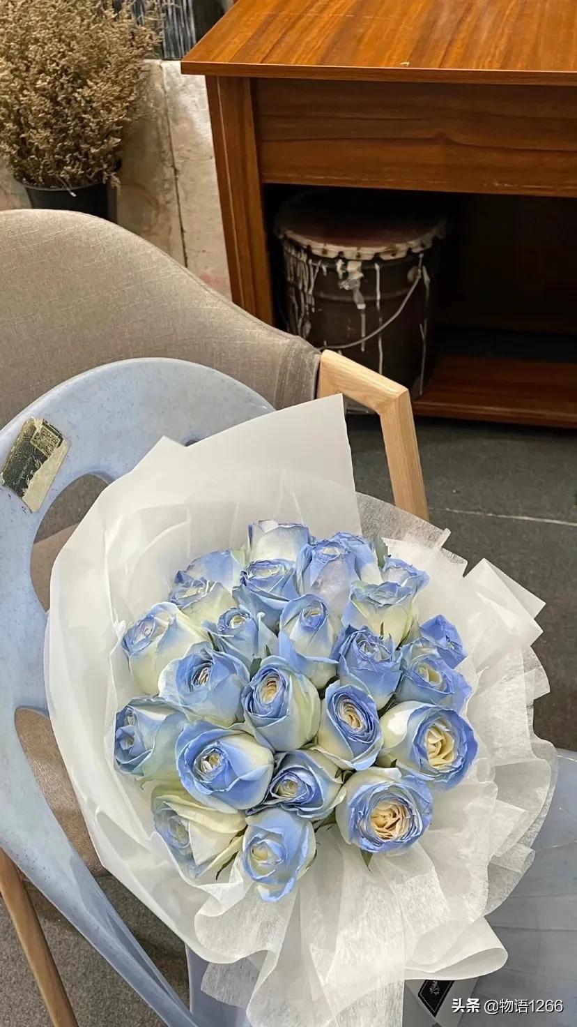 我将玫瑰藏在身后风起风落壁纸,我将玫瑰藏于身后花店老板壁纸