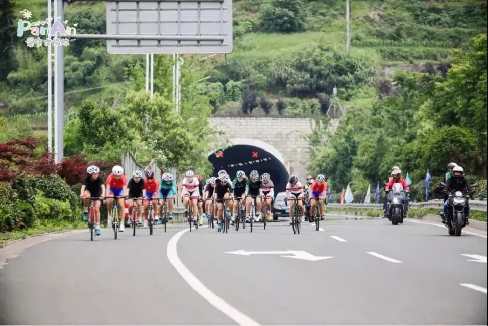 满满的知识点归纳,金华省运会知识