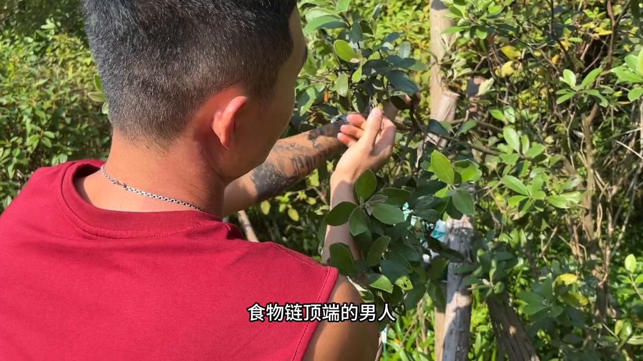 孕早期肋骨疼的有没,孕期肋骨痛的哇哇哭