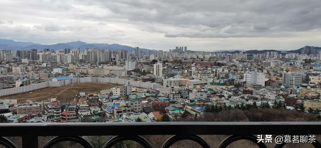 普洱茶越陈越好的骗局,普洱茶越陈越香的意思