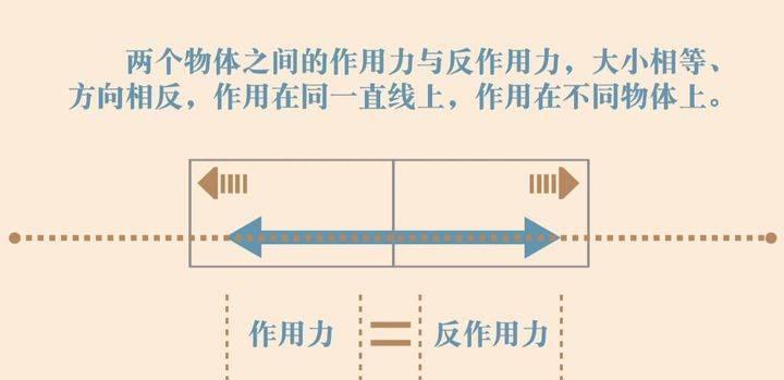 精子的运动能量,精子活动力半数呈直线运动