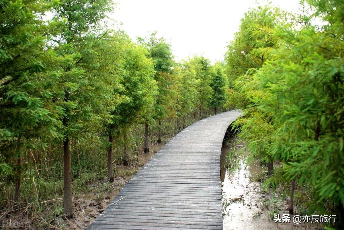 上海周边旅游攻略景点最新,上海周边最新旅游推荐景点