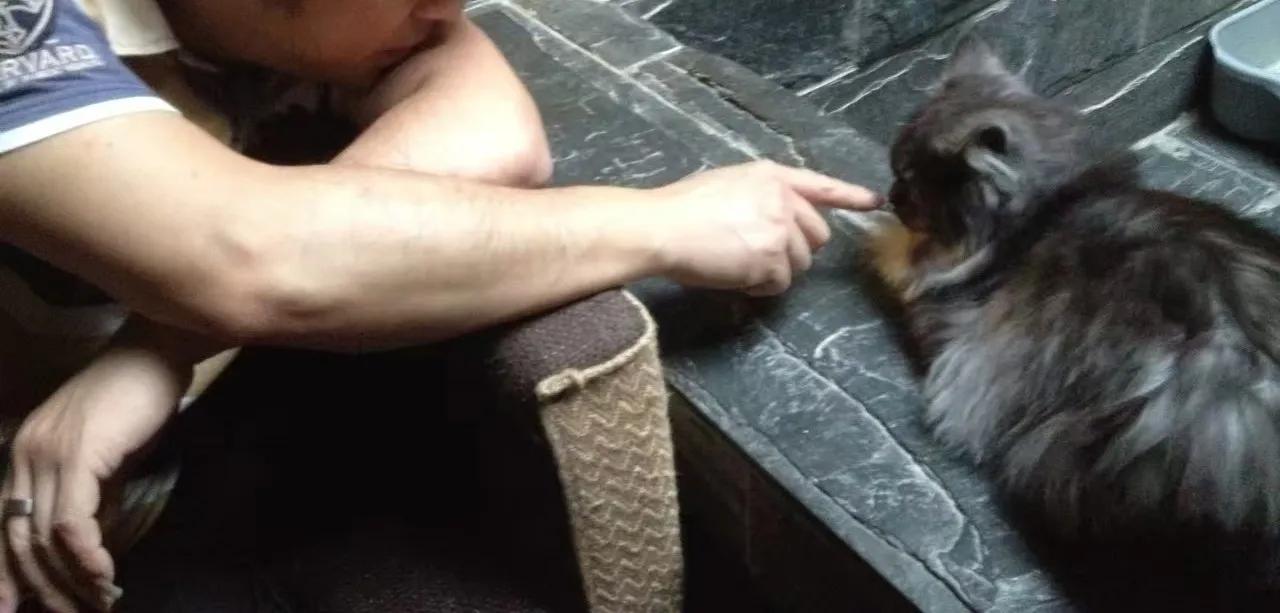 一家小咖啡店成本,开一家咖啡馆小店