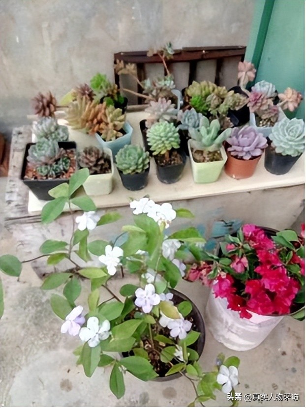 我和妹妹都是抑郁症患者，起因各不相同，她比我严重却救我一命