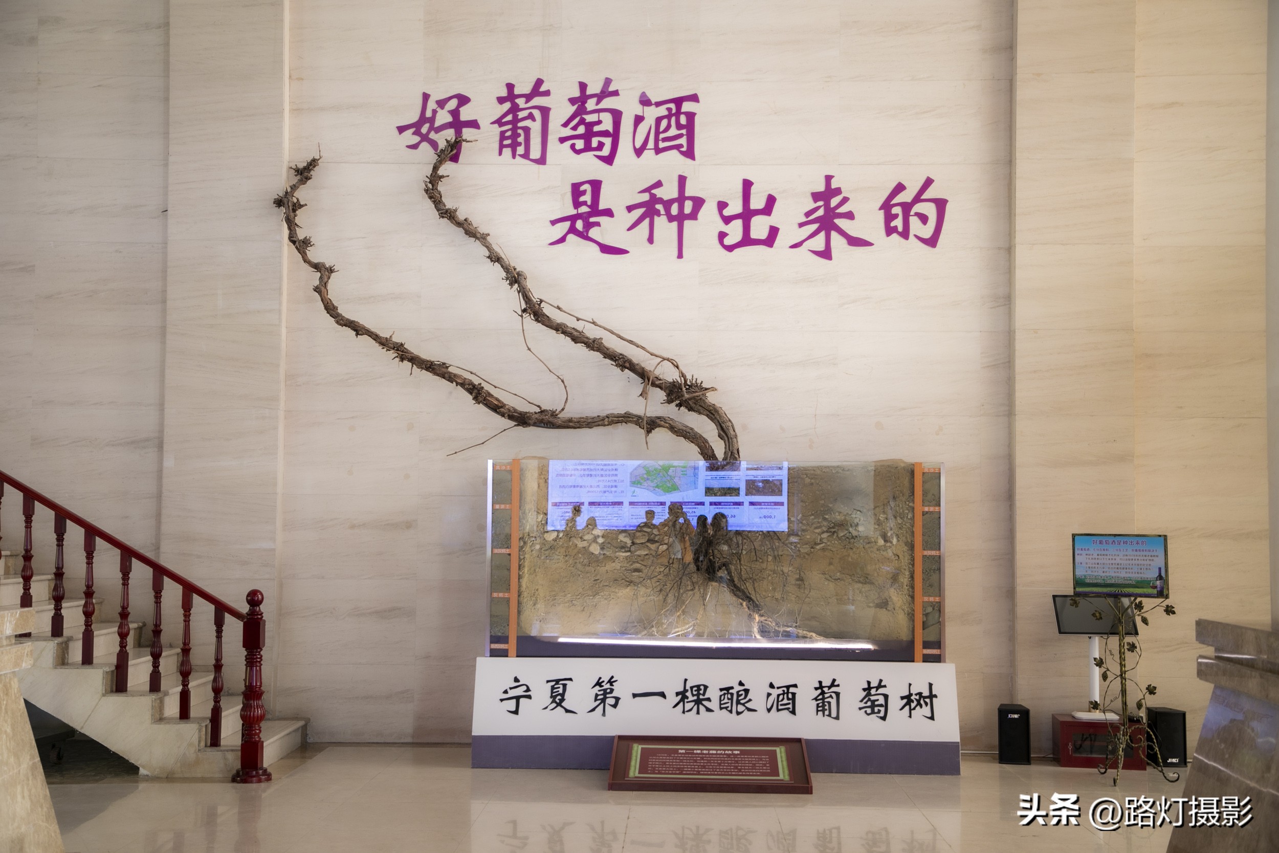 波尔多顶级酒庄,波尔多有哪些列级酒庄