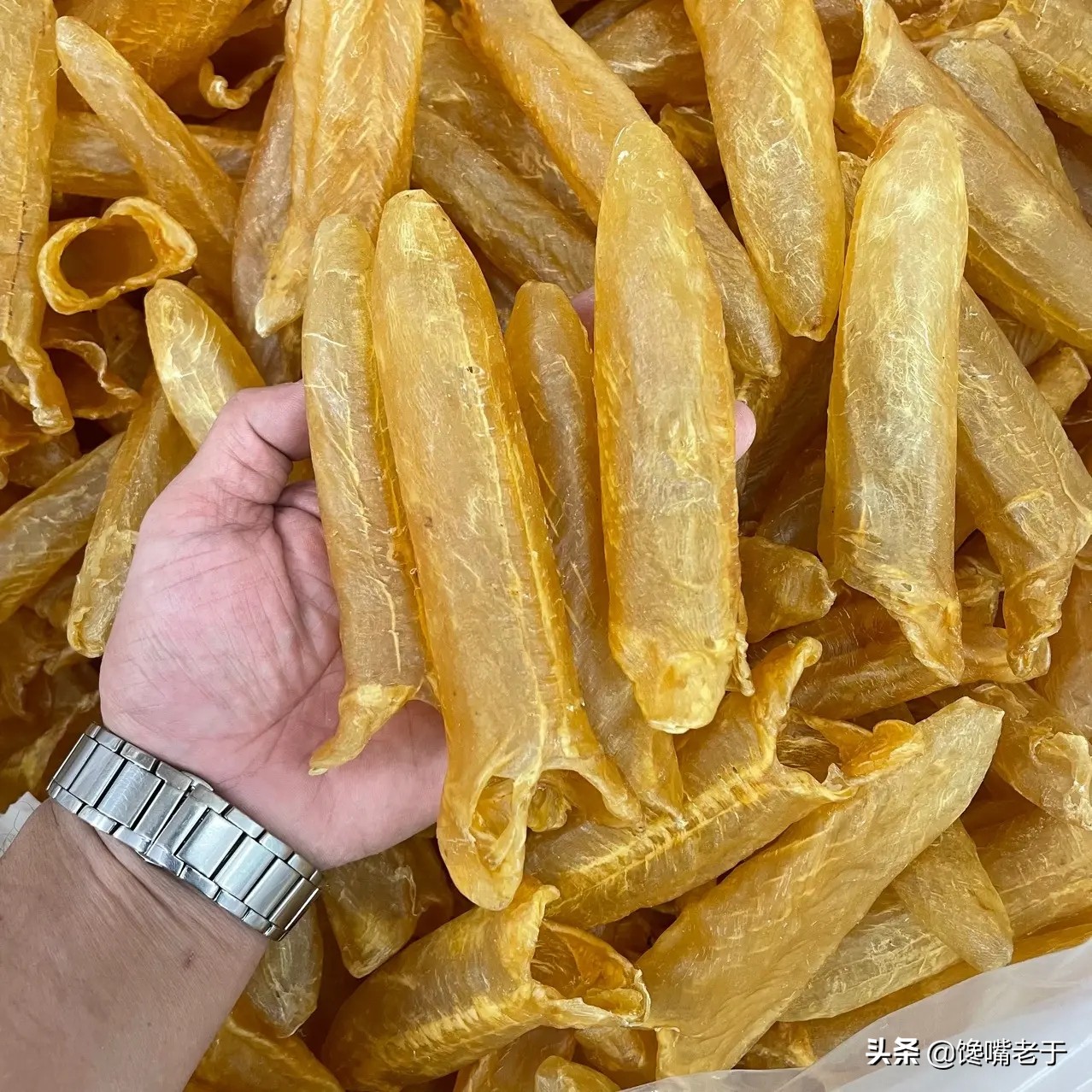 你不知道的五种海鲜,科普一下常见的海鲜